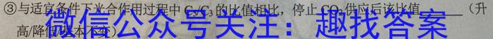 金科大联考·2024~2025学年度上学期12月质量检测（高二年级）数学