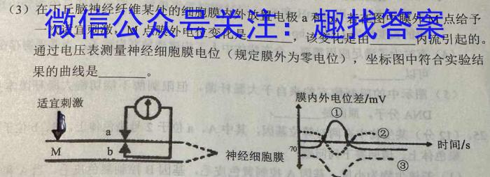 安徽第一卷·2023-2024学年安徽省七年级教学质量检测(12月)数学