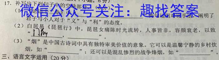 2023届全国百万联考高三5月联考(531C)语文