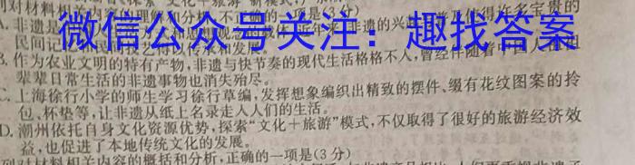 非凡吉创 2022 -2023下学年高三年级TOP二十名校猜题大联考(233623D)(二)语文