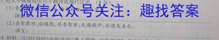 2023年安徽省初中学业水平模拟考试（5月）语文