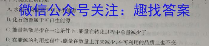 云南师大附中(师范大学附属中学)2023届高考适应性月考卷(十)物理`