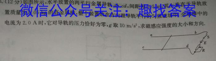 齐市普高联谊校2024~2023学年高一下学期期末考试(23102A)q物理