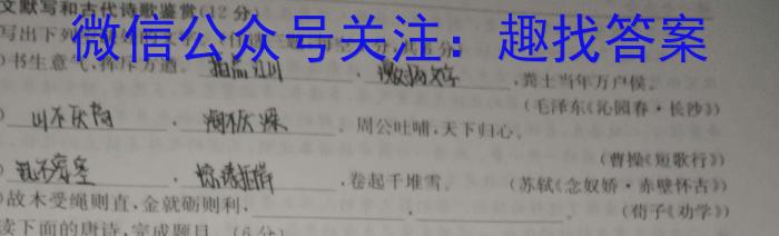 2023年湖南省普通高中学业水平考试仿真试卷(合格性考试)(第四次考试)语文