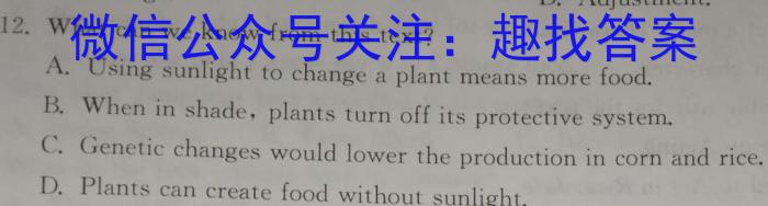 2023年福建大联考高三年级5月联考（524C·FJ）英语