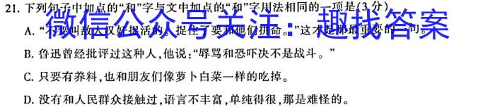 甘肃省2023年普通高等学校招生全国统一考试(模拟考试)语文
