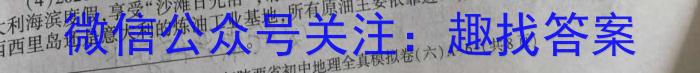 2023年邵阳市第二中学高三年级下学期高考全真模拟考试地.理