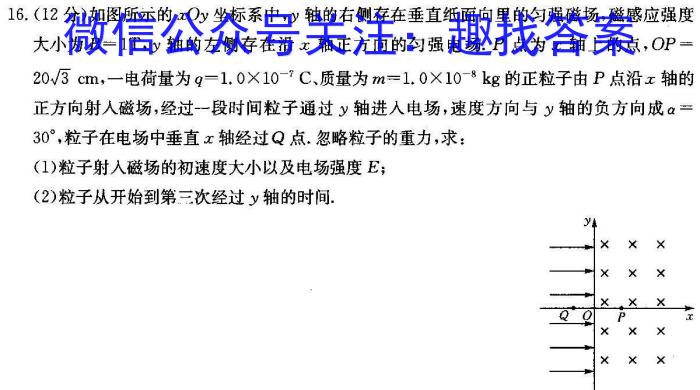 河南省洛阳创新发展联盟2024届高三阶段性检测(23-583C)物理.