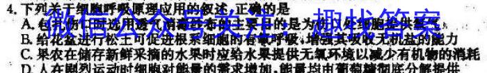 ［河南大联考］河南省2024届高三11月联考数学