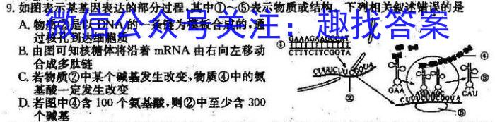 智慧上进·2024届高三5月大联考数学