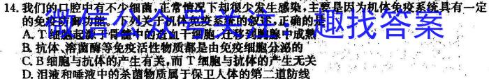 天一大联考2023-2024学年高三年级阶段性测试(一)数学