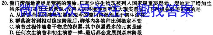 陕西省2023~2024学年度八年级第一学期期末调研试题(卷)数学