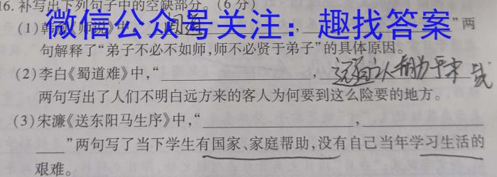 陕西省2023年九年级模拟检测卷B（正方形套菱形）语文