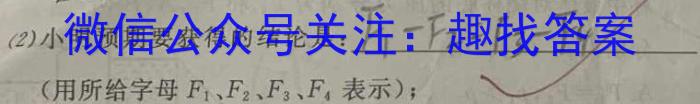 安徽省2023年中考导航总复习三轮模拟（一）物理`