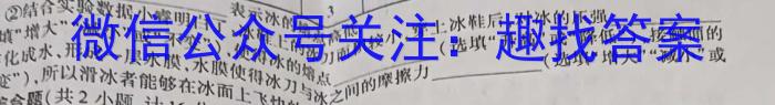 2023年陕西省九年级临考冲刺卷（F）物理`