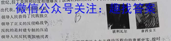 安徽省2022-2023学年度八年级第二学期期末教学质量监测A历史