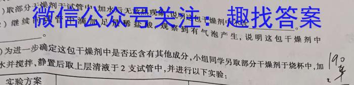 江西省中考总复习冲刺卷（四）化学