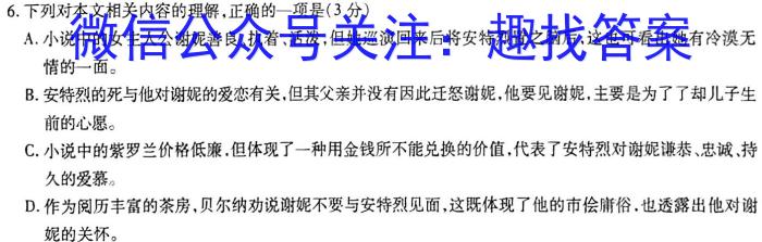 2023年湖南省高三年级5月联考（524C·HUN）语文