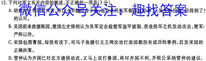 天一大联考 2023年九年级考前定位考试语文