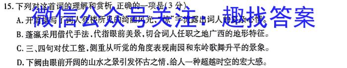山西省2023年初中学业水平考试·冲刺卷语文