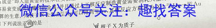 2023年金安高三年级适应性考试卷(23-485C)物理.