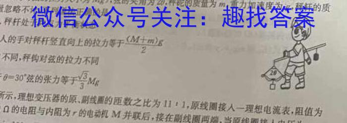 江淮名卷·2023年省城名校中考调研（四）l物理