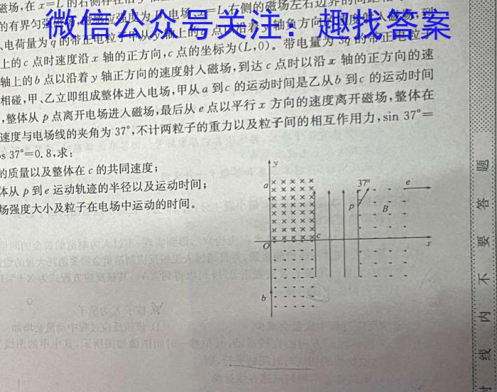 九师联盟 2024-2023学年高三5月考前押题(L)q物理