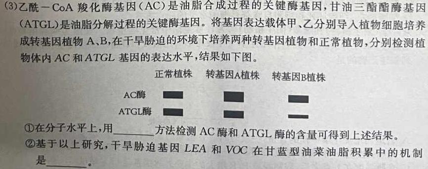 2023-2024学年山西省高三考试8月联考(24-04C)数学考试