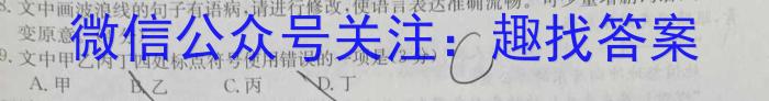 2023年安徽省初中学业水平考试冲刺试卷（三）语文