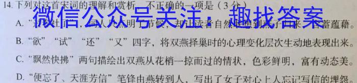 2023年陕西省初中学业水平考试信心提升卷语文