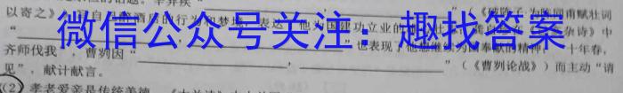 衡水金卷 湖南省2023年高二期末联考语文