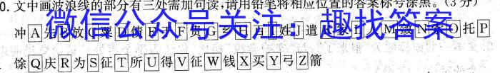 2023年陕西省初中学业水平考试信息卷(A)语文