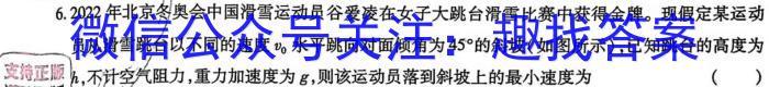 2023年陕西省初中学业水平考试全真预测试卷(C) A版物理`