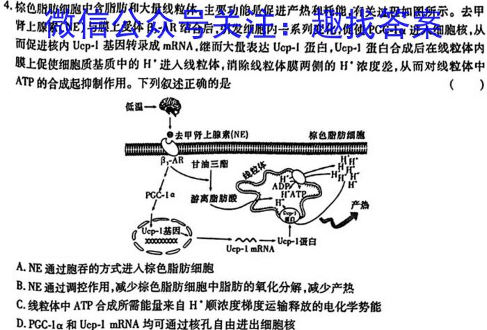 文博志鸿河南省2023-2024学年第一学期九年级期末教学质量检测（A）数学