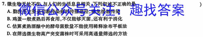 2024年陕西省初中学业水平考试模拟卷(四)4数学