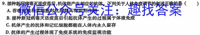 陕西省扶风初中2023-2024学年度上学期九年级第二次质量检测题（卷）数学