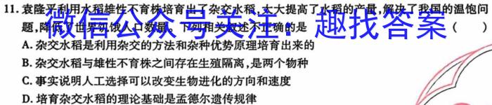 安徽省2024-2025学年七年级上学期教学质量调研(11月)数学