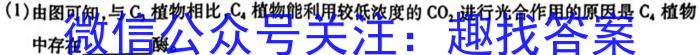 安徽省2022~2023学年度八年级阶段诊断 R-PGZX F-AH(七)数学