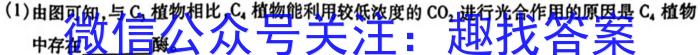 安徽省C20教育联盟2024年九年级学业水平测试"最后一卷"数学