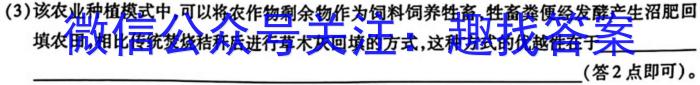 NT2023-2024学年第一学期12月高三阶段测试卷数学