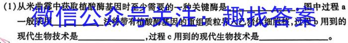 2023-2024学年江西省高一试卷10月联考(□)文理 数学