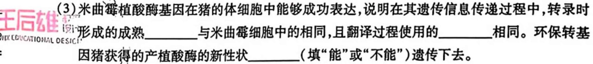 2023年“万友”中考突破卷（二）生物