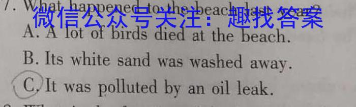 2023年陕西省初中学业水平考试信息卷(C)英语