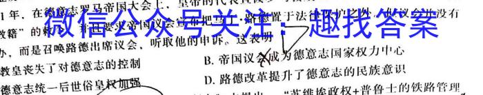 安徽省芜湖市弋江区2022-2023学年度八年级第二学期期末评价历史