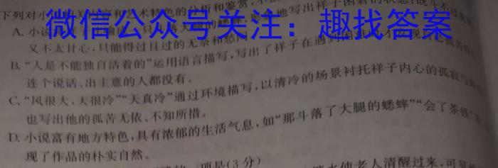 吉安市高一下学期期末教学质量检测(2023.6)语文