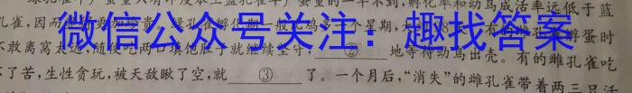 湛江市2022-2023学年度高二年级第二学期期末高中调研测试语文