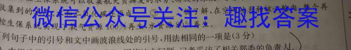 2023年河南大联考高三年级5月联考（5001C·HEN）语文