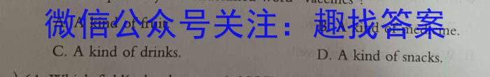 师大名师金卷2023年陕西省初中学业水平考试模拟卷(六)英语