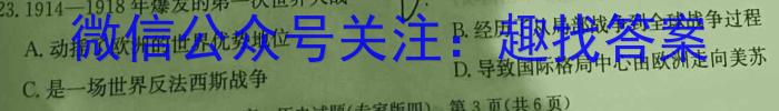 2023年“万友”中考突破卷（三）历史