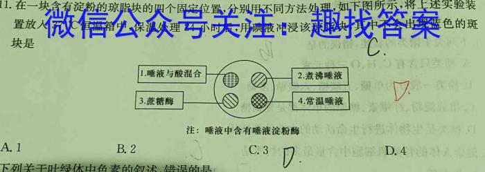 山西省实验中学2025届高三年级上学期入学考试数学